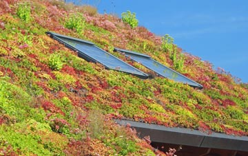 Knapthorpe living roof systems