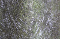 Knapthorpe fibreglass roof work